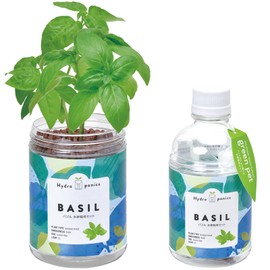 Seishin Ceramics Year-Round Home Gardening Easy Cultivation Kit Basil Herb Cultivation Set (For Free Research/Food Education) Pot Diameter Approx. 2.75 inches Green Pet Mother's Day Present Birthday
