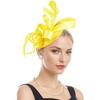 Zando Fascinators Hats for Women Tea Party Hat Ribbons Feathers