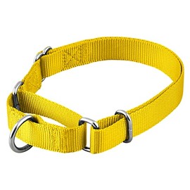 Native Pup Martingale Dog Collar, Adjustable for Small, Medium, Large pet and Puppies Accessories, Cute Colors for Male, Female, Boy, Girl, Puppy (Small, Bright Yellow)