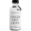 The Magic Scent Ginger Mint Grove Diffuser Oil - HVAC,