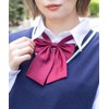 WEGO School Uniform Tie, Check Pattern, School Tie, School Ribbon,