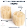 Natürlicher Luffa-Schwamm (2er-Pack) – Loofa-Peeling-Schwamm, ein Körperpeeling-Schrubber für Dusche und