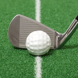 Tabata(タバタ) ゴルフ 練習用 ボール アプローチ練習 フォームアップボール 最大飛距離7m GV0306