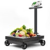 Foldable Scale Weight Electronic Platform High-Definition LCD Display Digital Floor