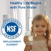 WF3CB Refrigerator Water Filter, Replacement for Pure Source 3, 706465,