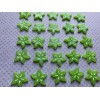 12pc Micro Miniature Star Fruit, Resin Flatback, Fruit, Cabochon, Flat