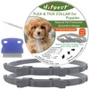 Flea and Tick Collar for Puppies - 12-Month Natural Protection