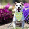 1Pcs Summer Dog Bandana,White Adjustbale Dogs Scarfs Bandanas Pet Triangle