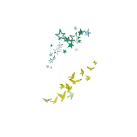 Sizzix Thinlits Die Set 662673, Birds & Stars, 2 Pack, Metal, Multicolour, Multiple Sizes