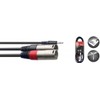 Y Cable 3.5 mm Mini Jack/XLR (M/M 3 m