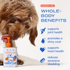 Native Pet Omega 3 Fish Oil for Dogs & Cats