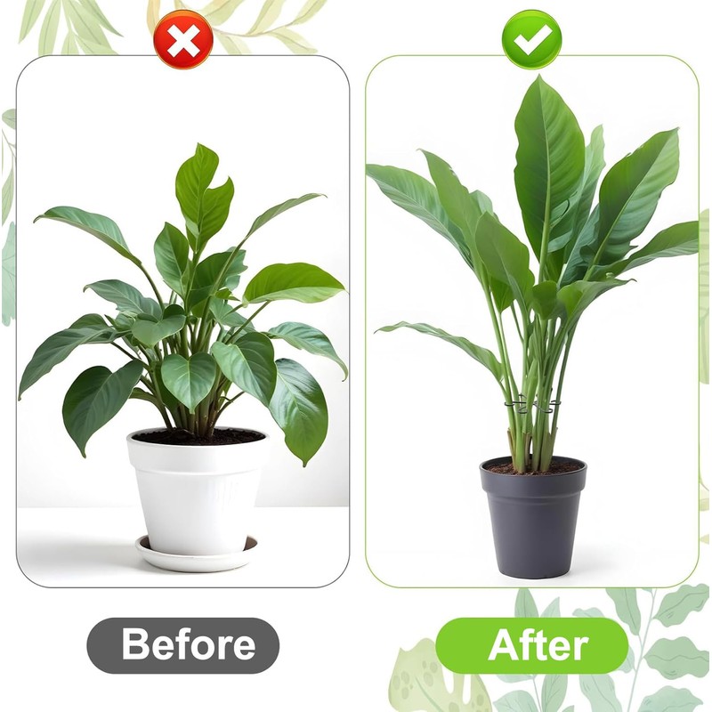 FXHDC-M Reusable Plant Stem Supports for Indoor Plants - 4