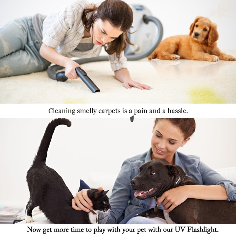 JOR UV Flashlight with AAA Batteries, Pet Pee & Stain