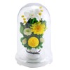 Art Four Seasons ● Offering Mom Dome Preserved Flower (Yellow)