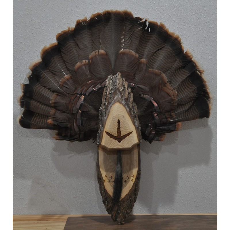 Turkey Fan Plaque Turkey Mounting Kit Turkey Hunting Turkey Fan