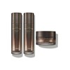 The Saem [The Saem][New Core Ulsan Branch] True Mushroom LX