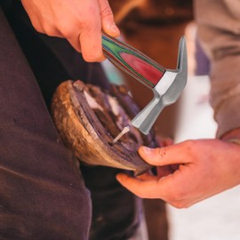 Pyhodi Professional Horse Shoe Hoof FarrierNail Driving Hammer, Magnetic Farrier Hammer with Wooden Handle, Horseshoe Hammer Steel Horse Shoe Nail Hammer Tool for Hoof Care