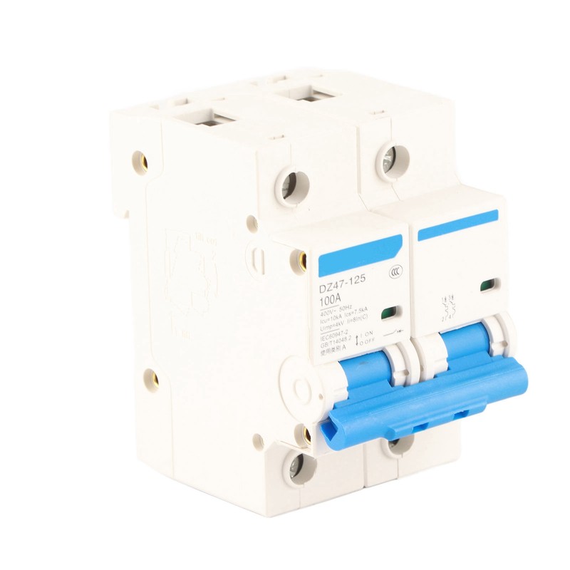 400V 80/100/125A Leakage Protection Switch DZ47‑125 2P​ Current Miniature Circuit