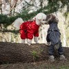 PawPawer Dog Raincoat Jacket with Reflective String and Elastic Cuffs