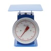 BANEBONE Industrial Mechanical Dial Scale with Iron Platform for Precise