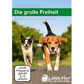 Die große Freiheit: Grundlagen nach HundeTeamSchule®