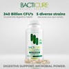 BACTICURE Original Probiótico Natural probiotic,Capsule,60 count
