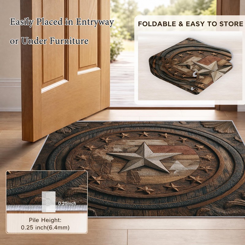 Texas Small Rug 2x3 Entryway, Front Door, Washable