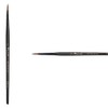 Raphael Stradivarius Round Medium Point Brush 8344#0