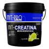 Creatina Monohidratada Alta Pureza Polvo Nit-pro 3kg 600ser