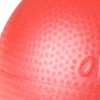 Gymnic Pilates Ball, Gym Ball, Yoga Ball, Exercise Ball, Soft
