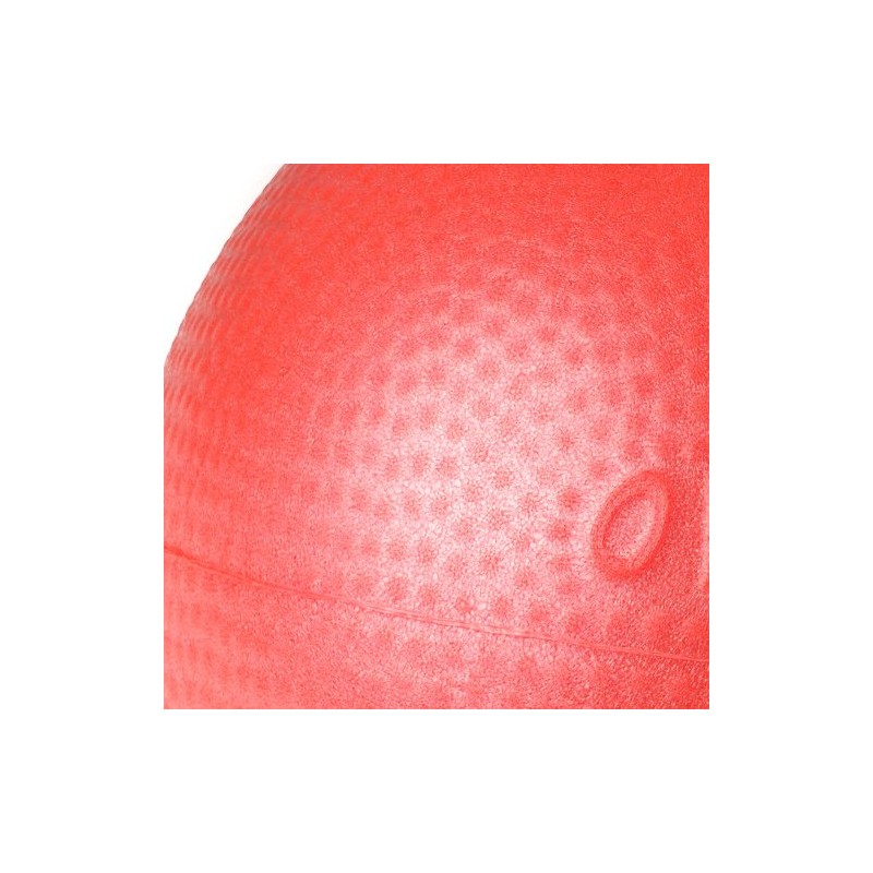 Gymnic Pilates Ball, Gym Ball, Yoga Ball, Exercise Ball, Soft