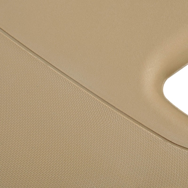 ECOTRIC A Pillar Grab Handle Interior Trim Passenger Side Compatible