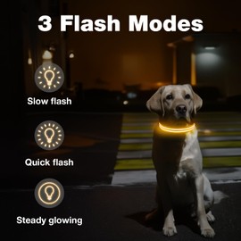 LED Dog Collar, Light Up Dog Collar at Night, Lighted Dog Collar Adjustable for Night Walking, Glow in The Dark Dog Collars Light with USB Rechargeable Waterproof for Dogs (Orange, Small)