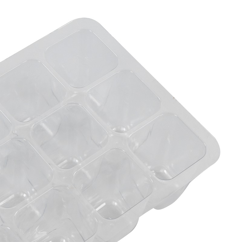 10Pcs Seedling Trays 12 Hole Transparent Adjustable Ventilated Seedling Starter