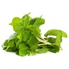 Rani Fresh Mint (Pudina) Leaves 2oz - 4oz,Pack of 2