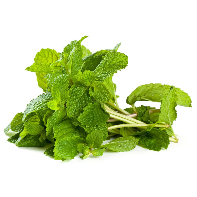Rani Fresh Mint (Pudina) Leaves 2oz - 4oz,Pack of 2