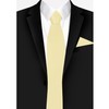 Jacob Alexander Solid Color Men's Regular Tie - Yellow