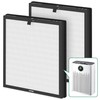2 Packs HAP-603 Replacement Filter Compatible with ECOSELF HAP603 Air