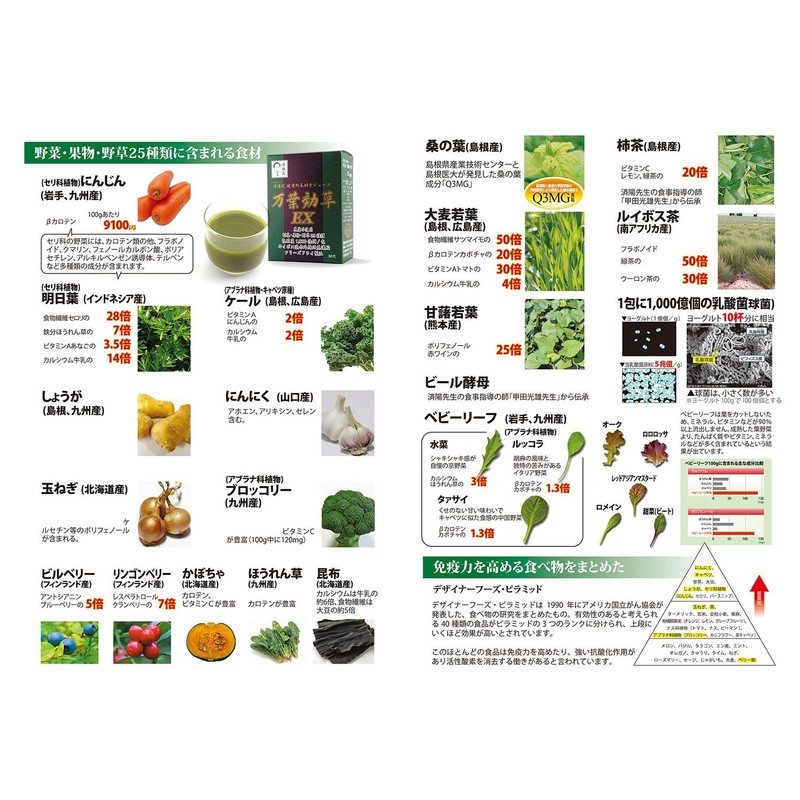 AIGエム 済陽式 健康野草ジュース 万葉効草ＥＸ＜３箱セット＞