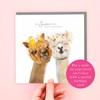 Lola Design - Birthday Cards for Women - Alpacas, Best