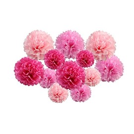 pack of 12 Pack Mixed Tissue Paper Pompom Pom Pom Hanging Garland Wedding Party Decorations (Pink Shade, mix 6" & 10" (15 cm & 25 cm))
