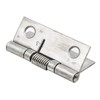 Rannb Spring Hinge Self Opening 1.5 Inch Length Stainless Steel