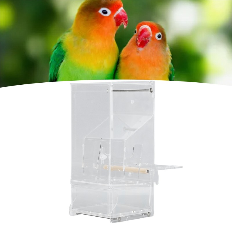 Automatic Parrot Feeder Prevent Spills and Splashes Easy Installation Large
