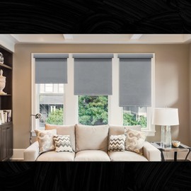 CHICOLOGY Cordless Roller Shades Snap-N'-Glide Window Treatments Perfect for Living Room/Bedroom/Nursery/Office and More, 63"W X 72"H, Pebble (Cassette Valance)