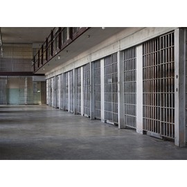 CORFOTO 7x5ft Fabric Prison Photography Backdrop Jail Cell Bars Background Jail Bars Murder Crime Themed Party Decorations Police and Gangster Party Backdrop Photoshoot Booth Studio Props