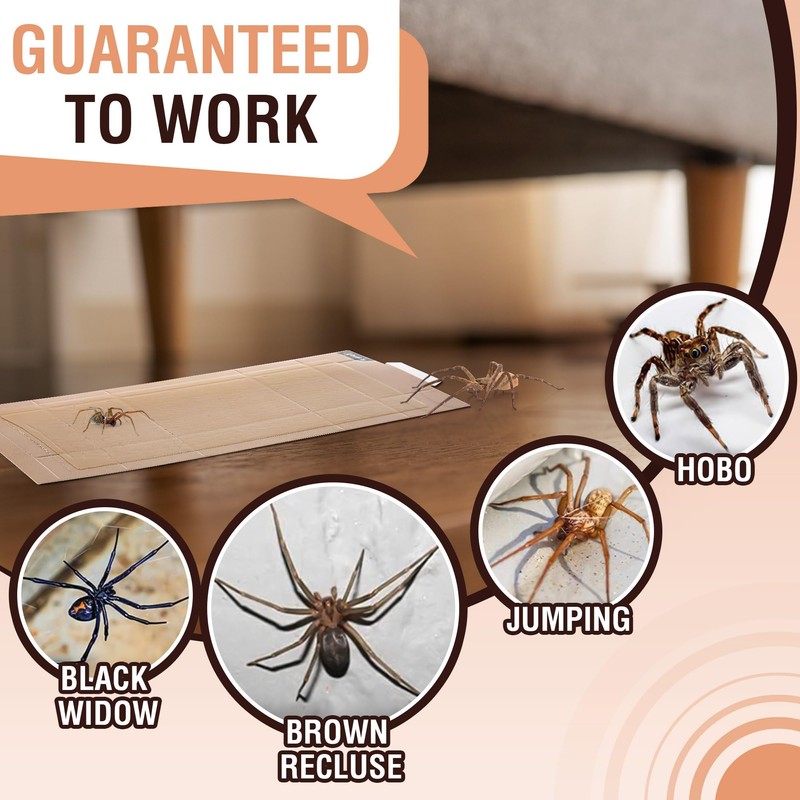 Qualirey 12 Pack Spider Traps Indoor for Brown Recluse Spiders,