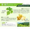 Petit Shop Constant Meal Japanese Mulberry Leaf Tea Plus Chrysanthemum