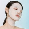 Ramelda Ecrique Lamelta Sheet 1 box (10 sheets) LHA whitening