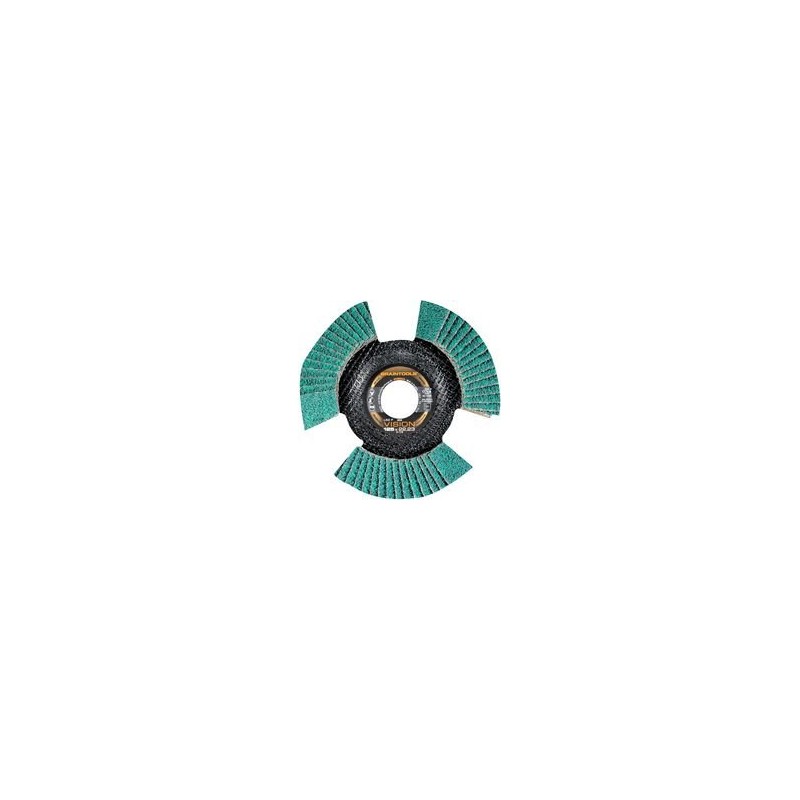 Rhodius - LSZ FS Vision K80 Flap Disc, Transparent, LSZF,