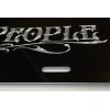 Diamond Etched Products WE THE PEOPLE US Flag Skull Patriotic